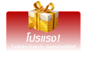 โปรโมชั่น